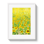 Provence Sunflowers - Che Cose Belle