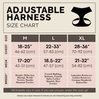 The NoMad Adjustable Luxe Harness - Rockstar