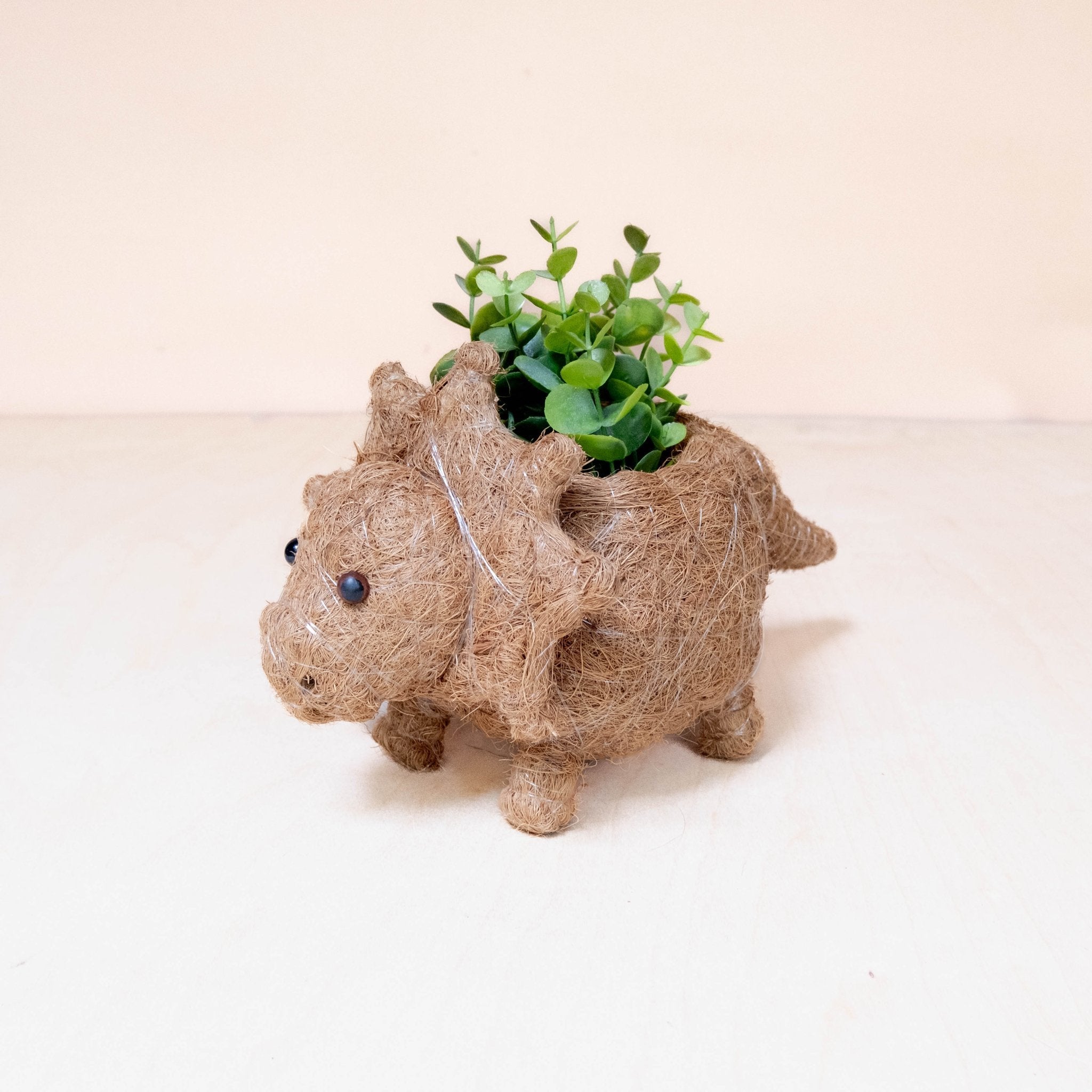 Baby Triceratops Planter
