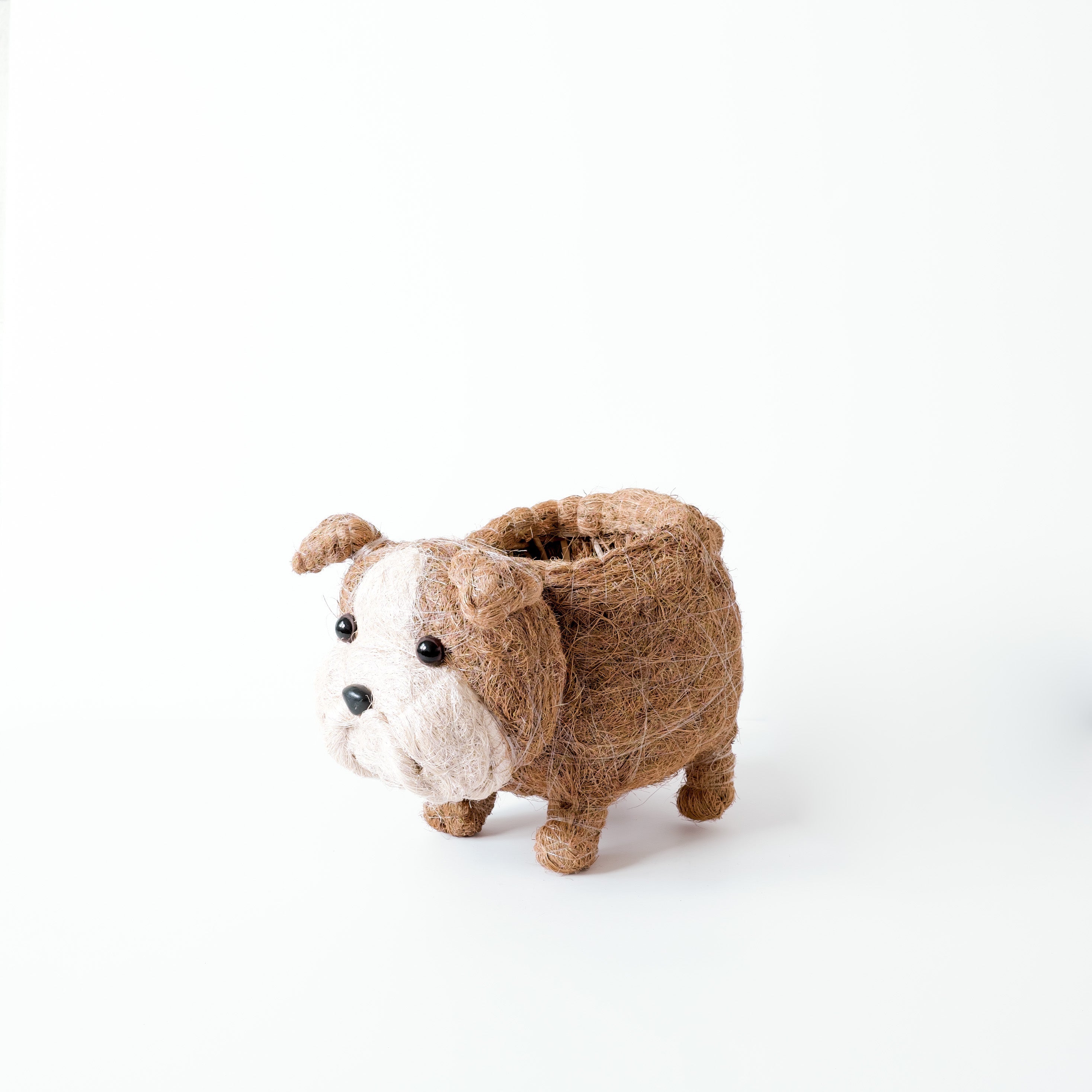 Baby English Bulldog Planter
