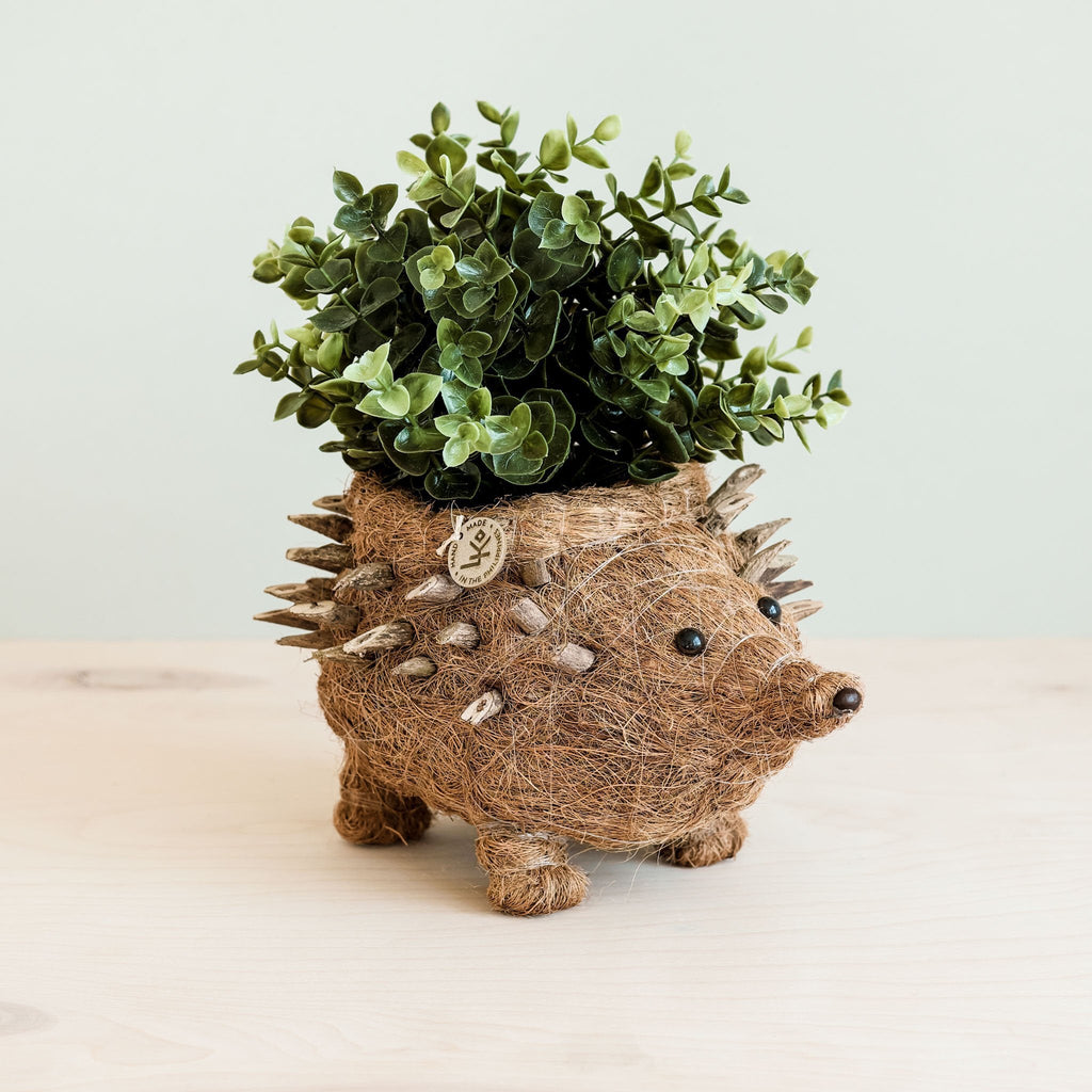 Hedgehog Planter - Coco Planter