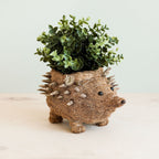 Hedgehog Planter - Coco Planter