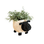 Sheep Planter - Coco Coir Pots