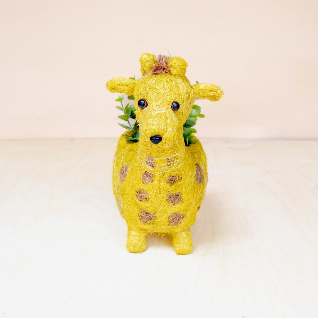 Baby Giraffe Planter