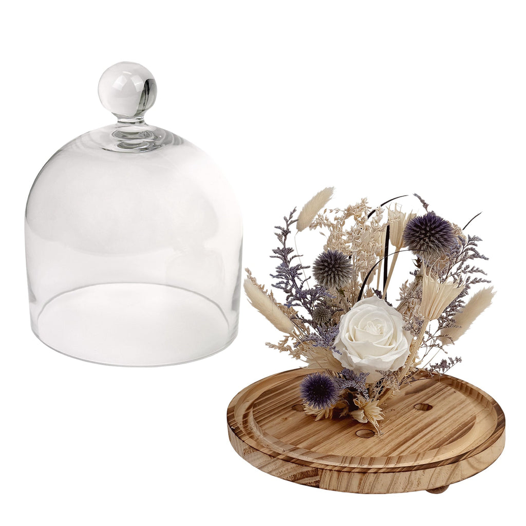 10" Botanical Cloche - Che Cose Belle