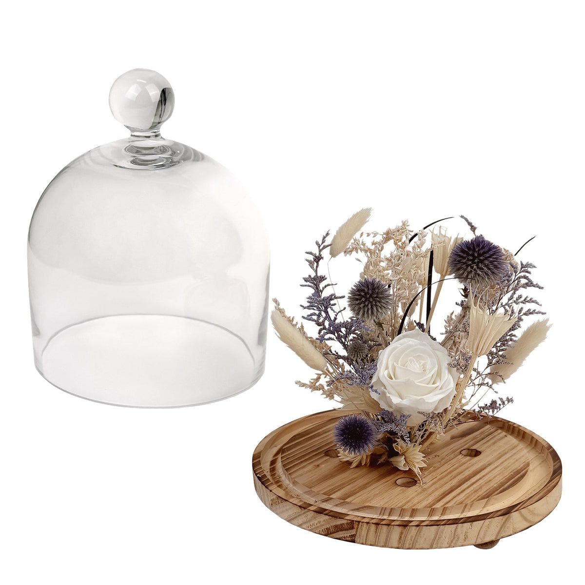10" Botanical Cloche - Che Cose Belle