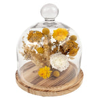 10" Botanical Cloche - Che Cose Belle