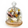 10" Botanical Cloche - Che Cose Belle