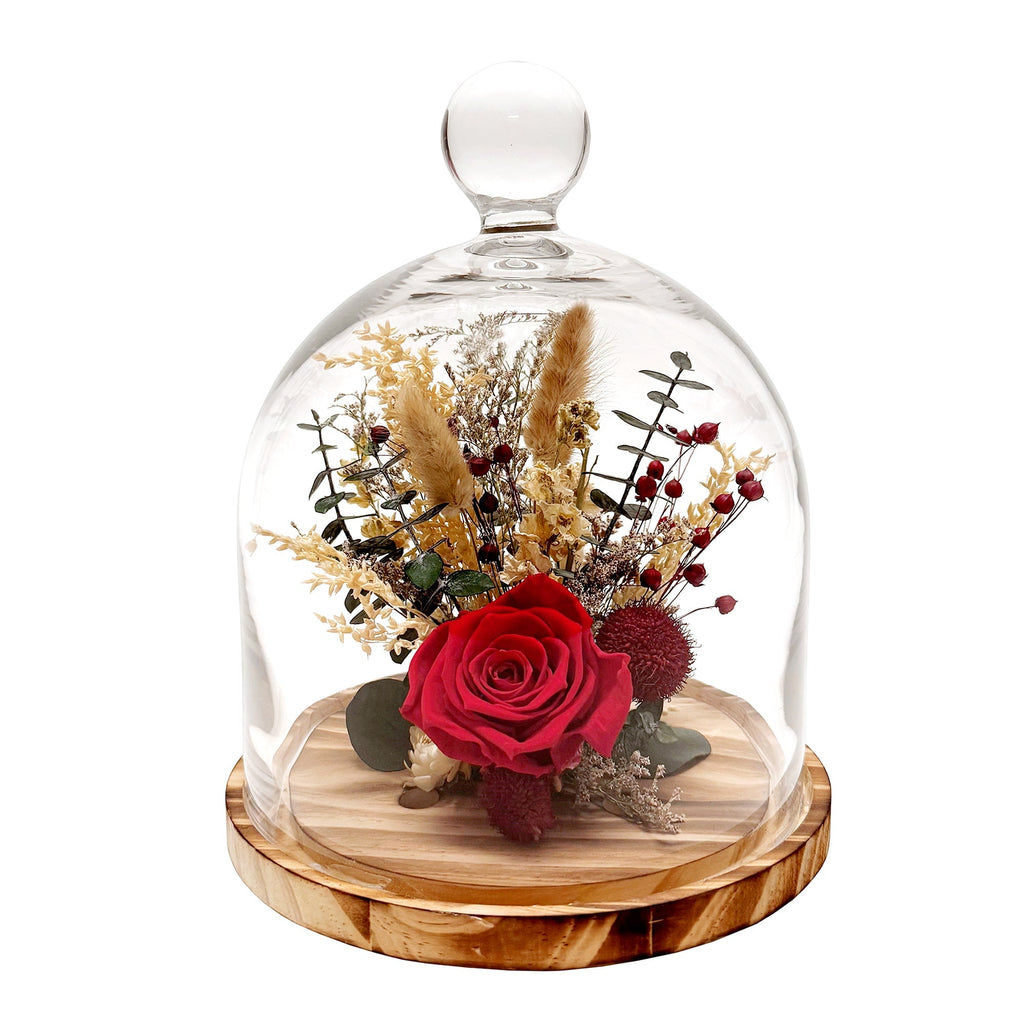 10" Botanical Cloche - Che Cose Belle
