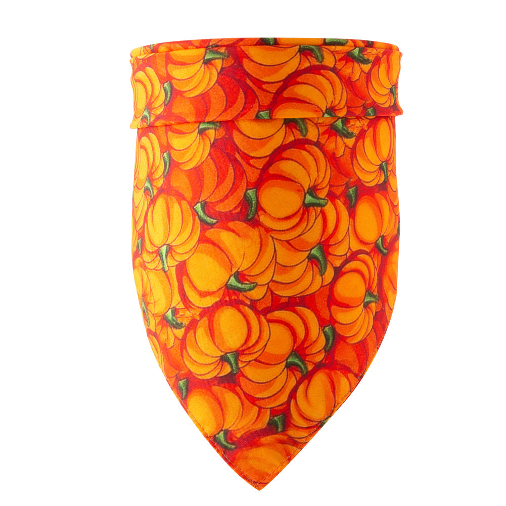 Halloween pet bandana