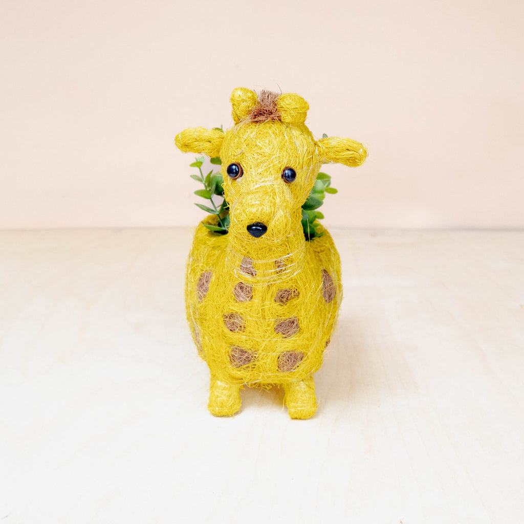 Baby Giraffe Planter