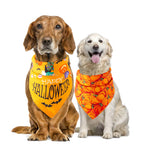 Halloween pet bandana