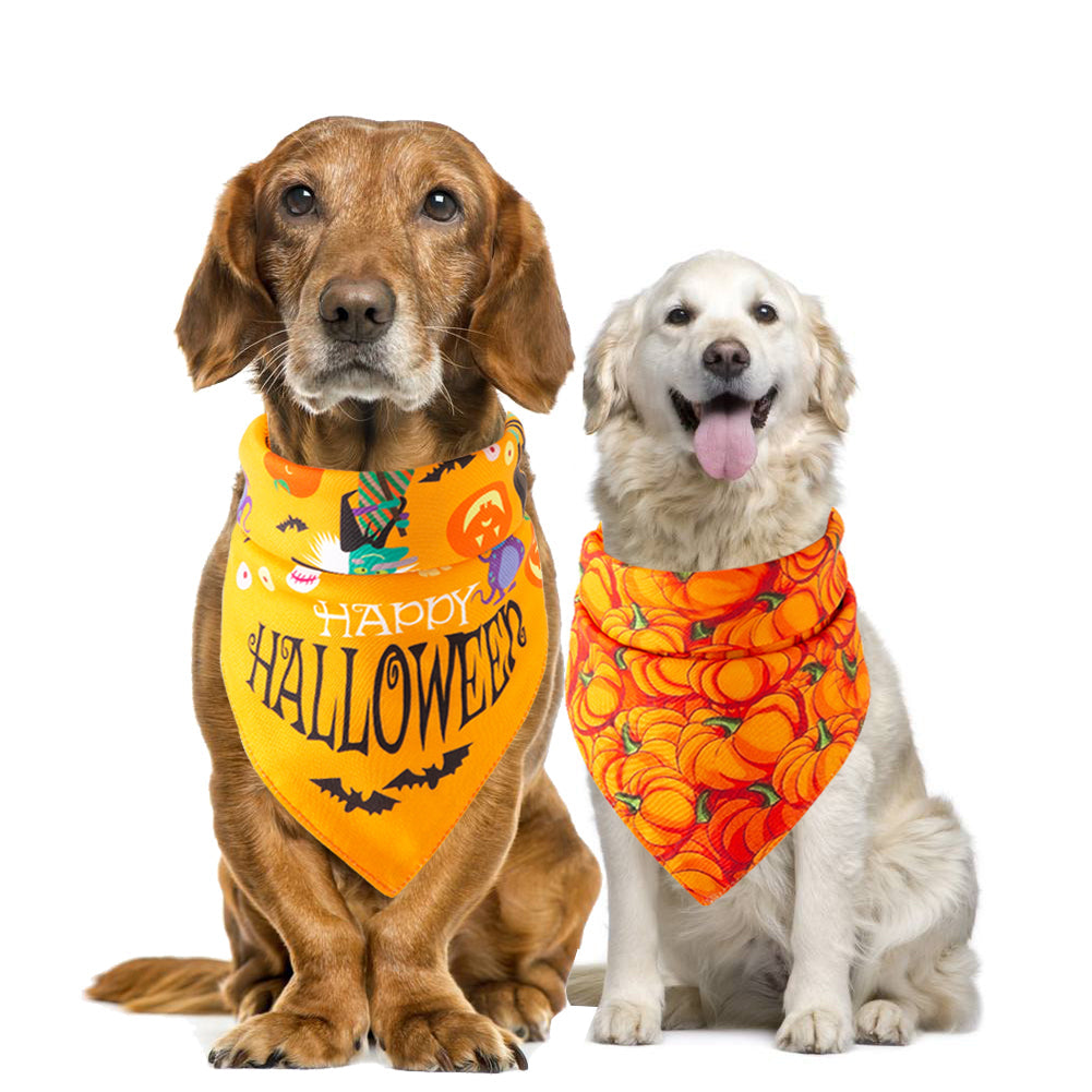 Halloween pet bandana