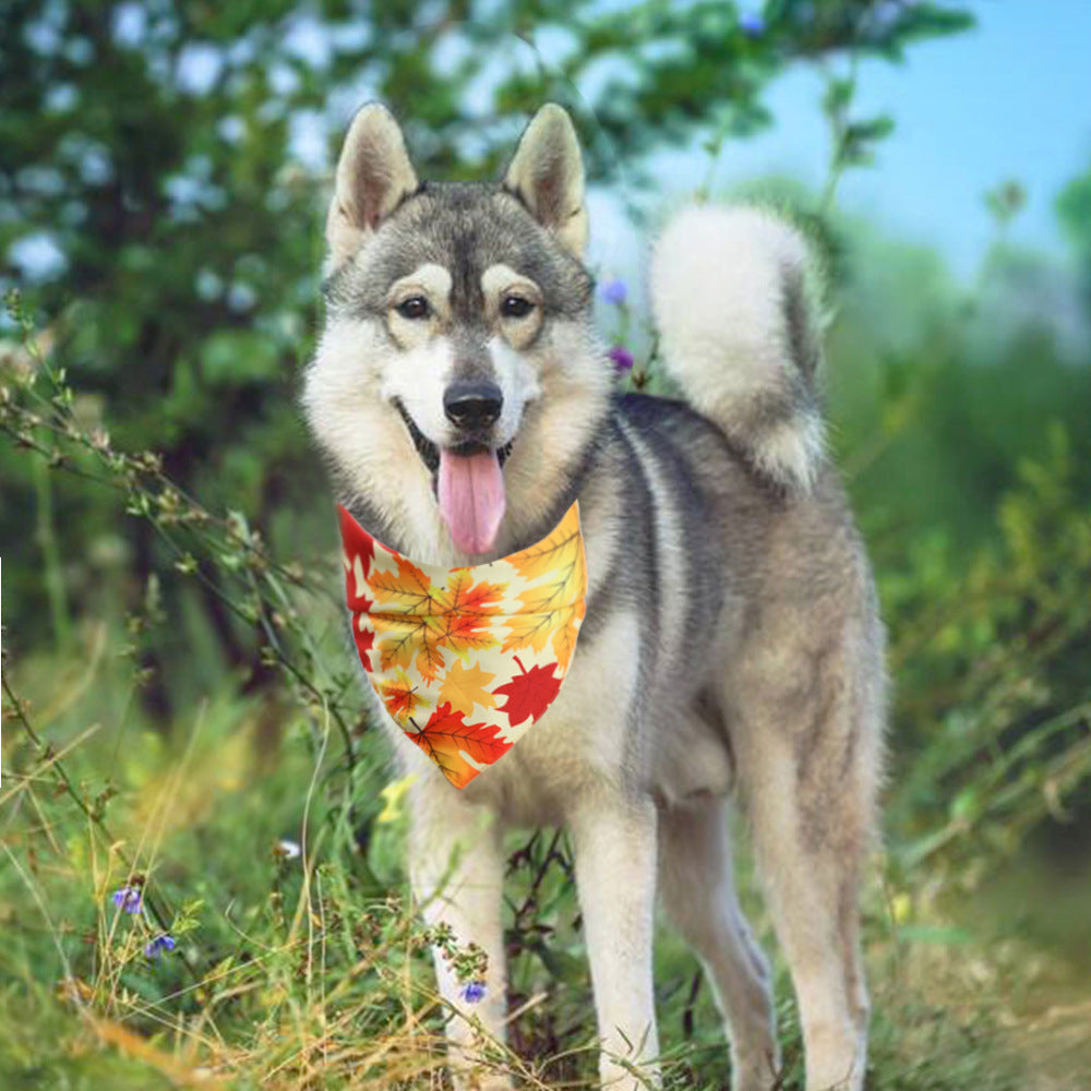 Turkey Thanksgiving Pet Bandana