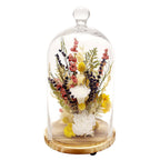 15" Botanical Cloche - Che Cose Belle