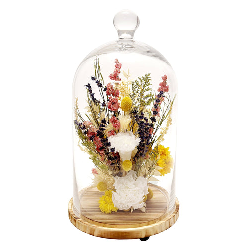 15" Botanical Cloche - Che Cose Belle