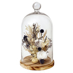 15" Botanical Cloche - Che Cose Belle