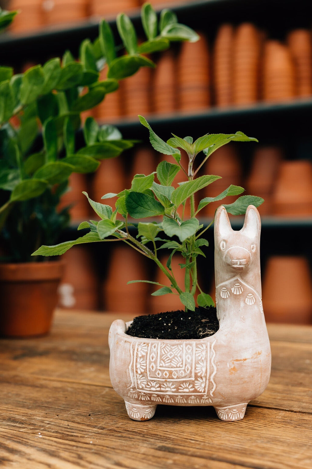 Llama Terracotta Planter