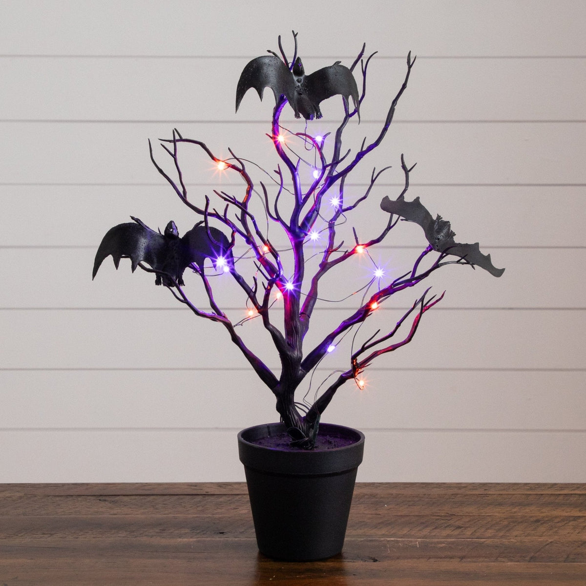16” Pre-Lit Artificial Halloween Black Spooky Twig Tree with Bats and 20 Orange & Purple LED Lights - Che Cose Belle