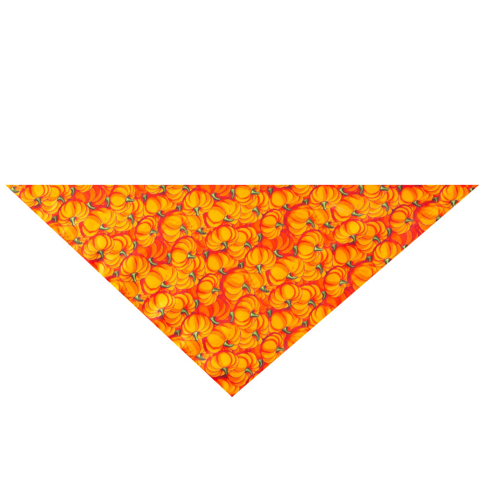 Halloween pet bandana