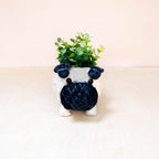 Baby Pug Planter