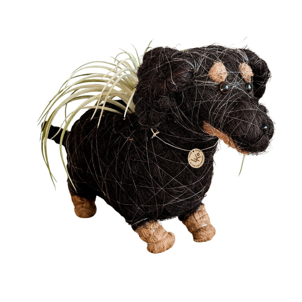 Dachshund Dog Planter - Coco Planter