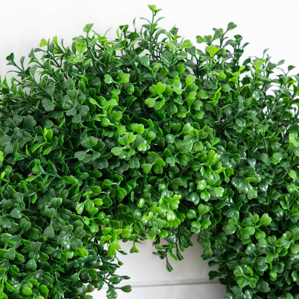 18" Pre-Lit Artificial Boxwood Wreath with 25 Warm White LED Lights - Che Cose Belle