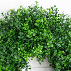 18" Pre-Lit Artificial Boxwood Wreath with 25 Warm White LED Lights - Che Cose Belle
