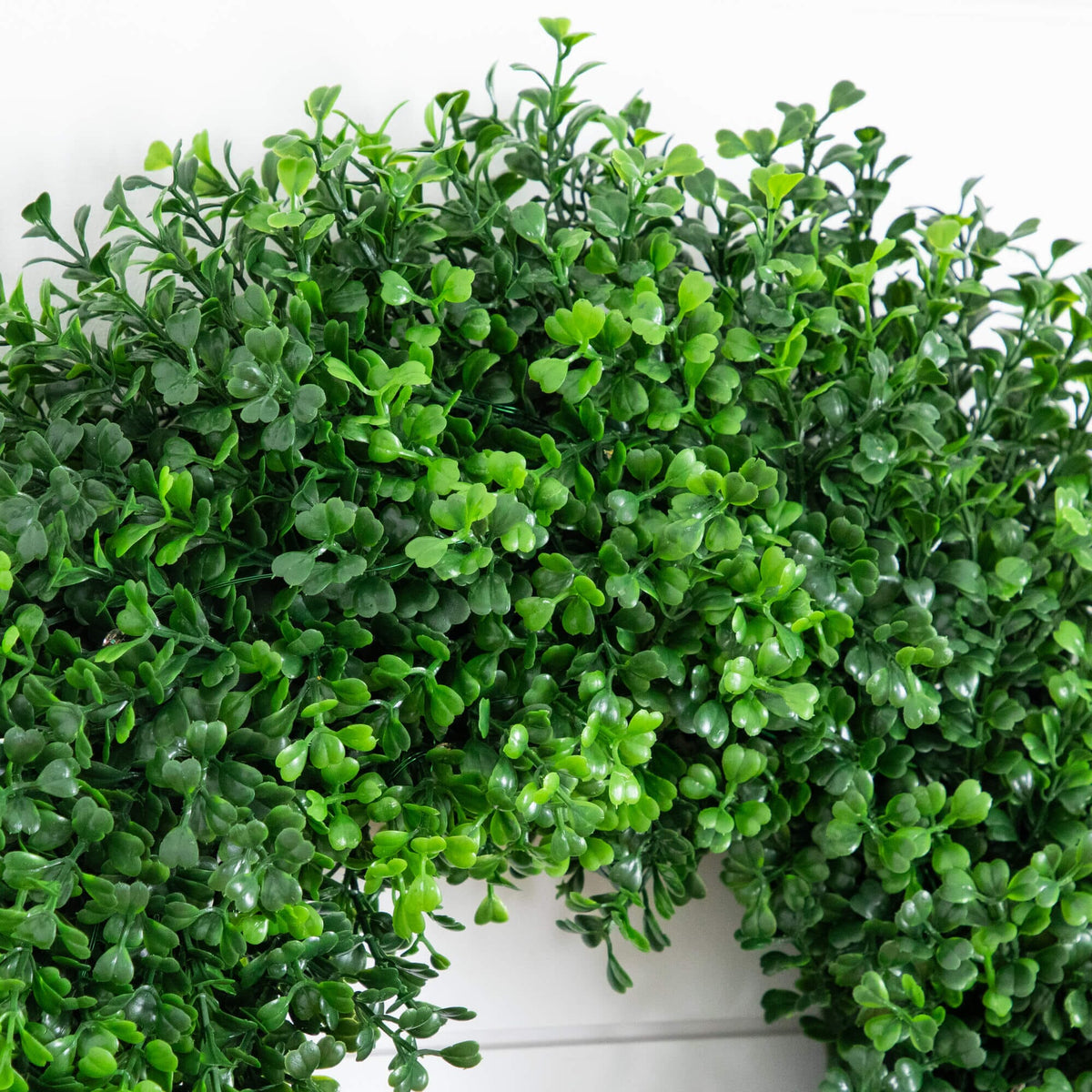 18" Pre-Lit Artificial Boxwood Wreath with 25 Warm White LED Lights - Che Cose Belle