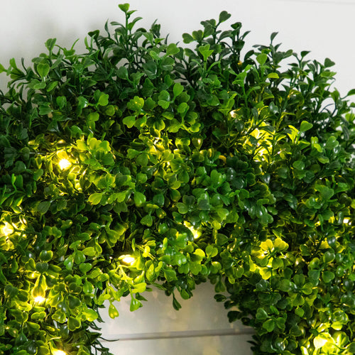 18" Pre-Lit Artificial Boxwood Wreath with 25 Warm White LED Lights - Che Cose Belle