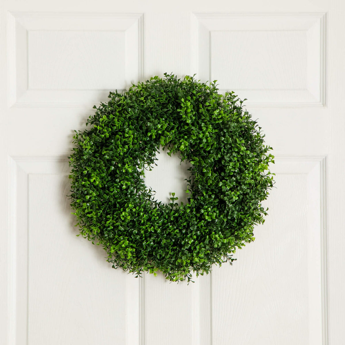 18" Pre-Lit Artificial Boxwood Wreath with 25 Warm White LED Lights - Che Cose Belle