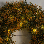 18" Pre-Lit Autumn Boxwood Artificial Fall Wreath with 25 Warm White LED Lights - Che Cose Belle