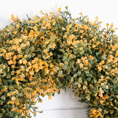 18" Pre-Lit Autumn Boxwood Artificial Fall Wreath with 25 Warm White LED Lights - Che Cose Belle