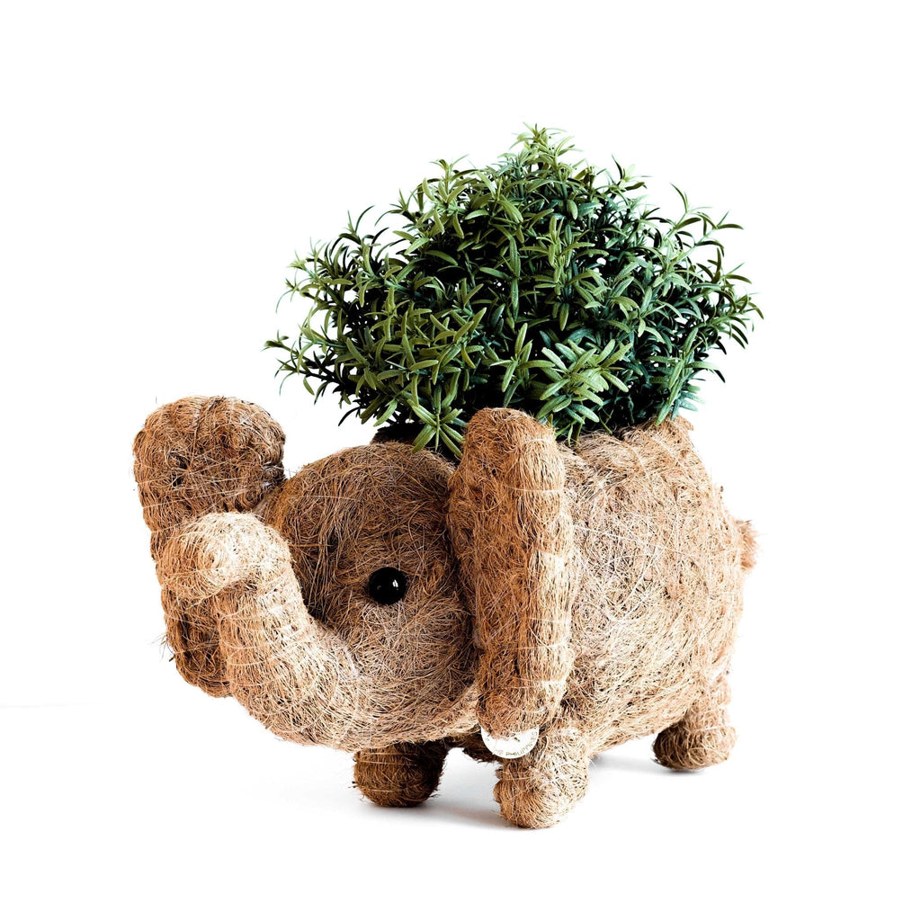 Baby Elephant Planter