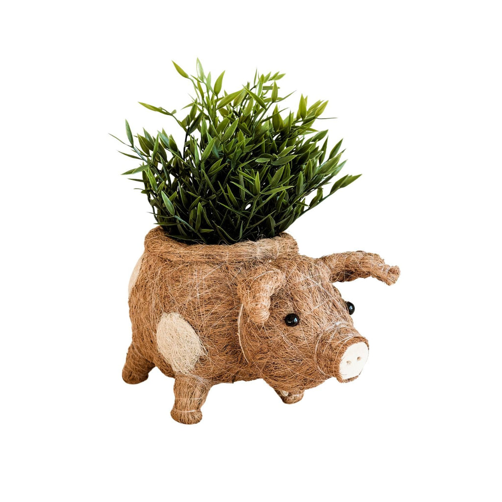 Pig Planter - Coco Coir Pots