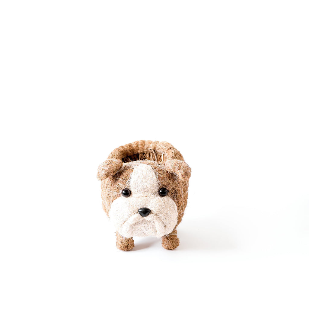 Baby English Bulldog Planter