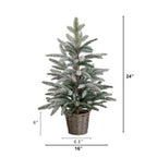 2' Artificial Frosted Christmas Tree in Decorative Basket - Che Cose Belle