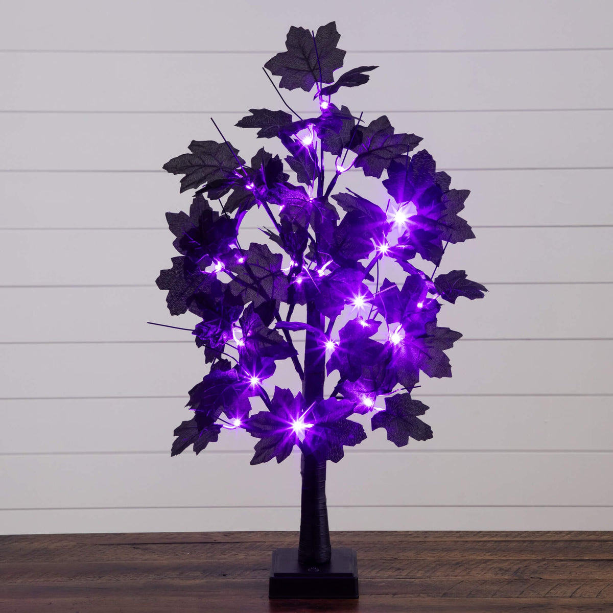 2' Pre-Lit Artificial Halloween Black Maple Tree with 24 Orange & Purple LED Lights - Che Cose Belle