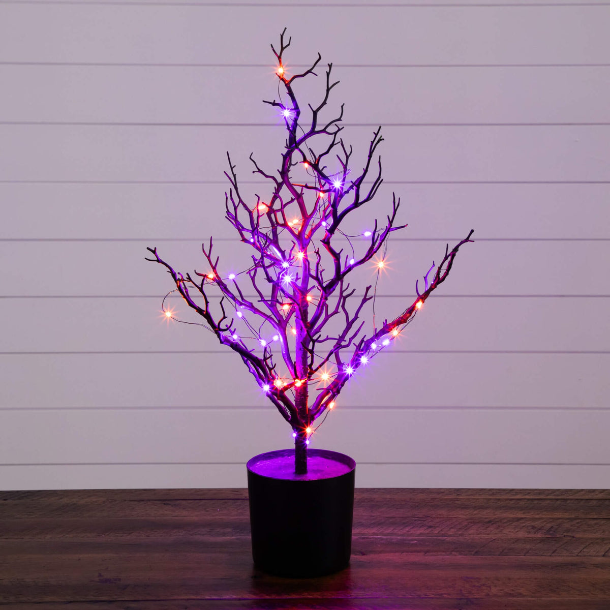 2' Pre-Lit Artificial Halloween Black Spooky Twig Tree with 60 Orange & Purple Copper Wire String LED Lights - Che Cose Belle