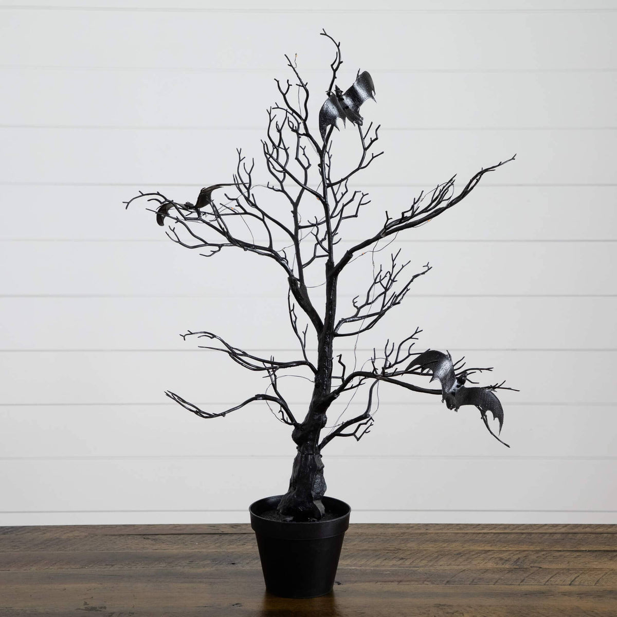 2' Pre-Lit Artificial Halloween Black Spooky Twig Tree with Bats and 40 Orange & Purple LED Lights - Che Cose Belle