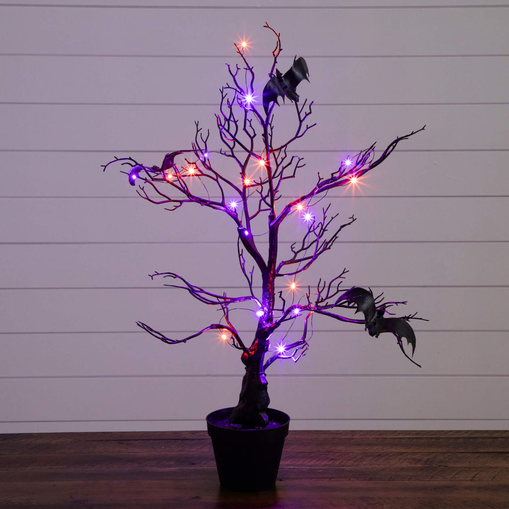 2' Pre-Lit Artificial Halloween Black Spooky Twig Tree with Bats and 40 Orange & Purple LED Lights - Che Cose Belle