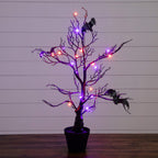 2' Pre-Lit Artificial Halloween Black Spooky Twig Tree with Bats and 40 Orange & Purple LED Lights - Che Cose Belle
