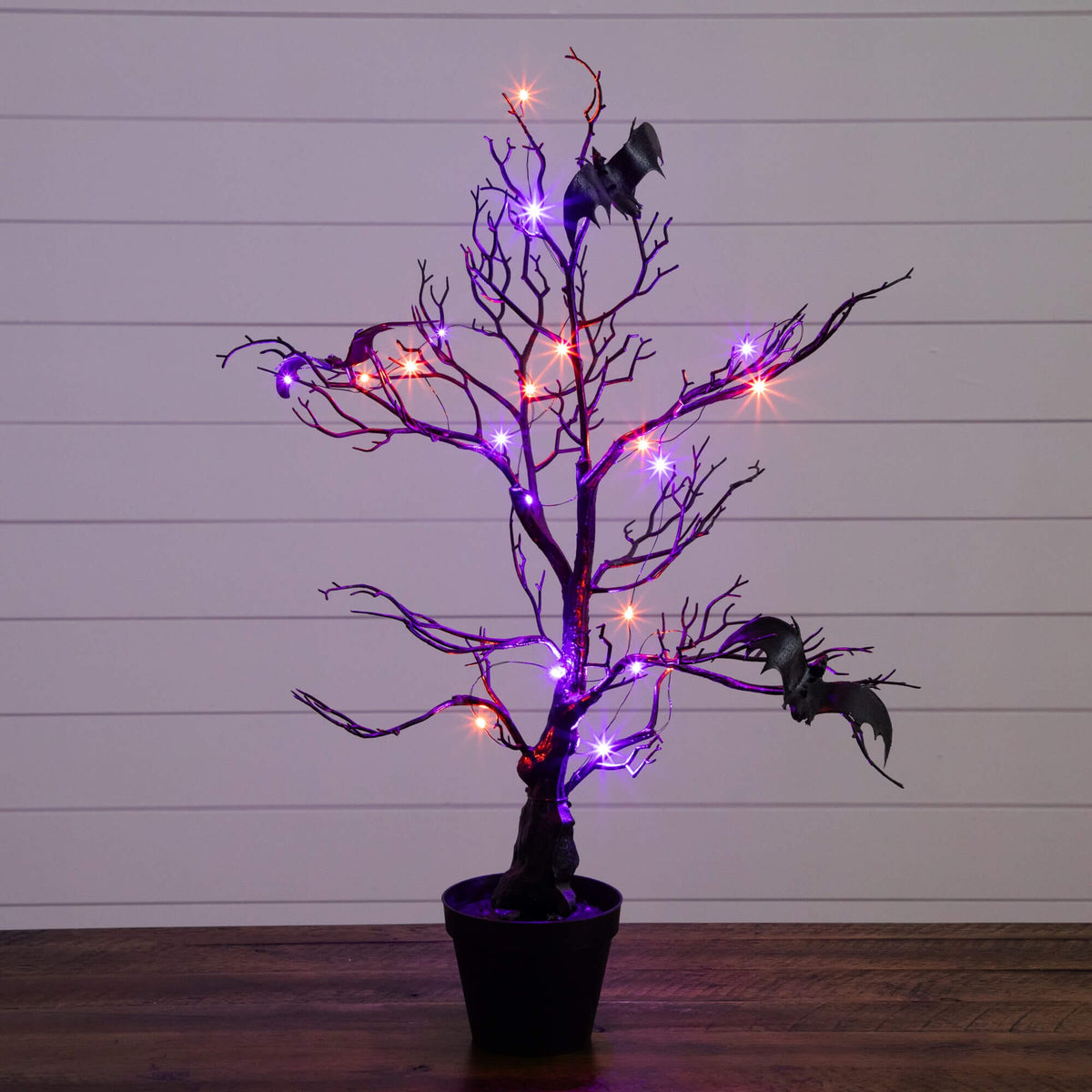 2' Pre-Lit Artificial Halloween Black Spooky Twig Tree with Bats and 40 Orange & Purple LED Lights - Che Cose Belle