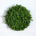 20” UV Resistant Irish Green Meadow Artificial Living Wall Art Panel in Black Aluminum Frame - Che Cose Belle