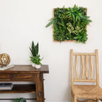 20” x 20” UV Resistant Queensland Rainforest Artificial Living Wall Art Panel in Light Wood - Che Cose Belle