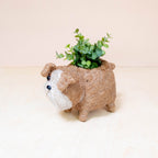 Baby English Bulldog Planter
