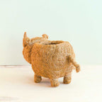 Baby Rhino Planter
