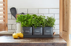 Burgon & Ball® 3 Herb Pots with Leather Handled Tray, Charcoal
