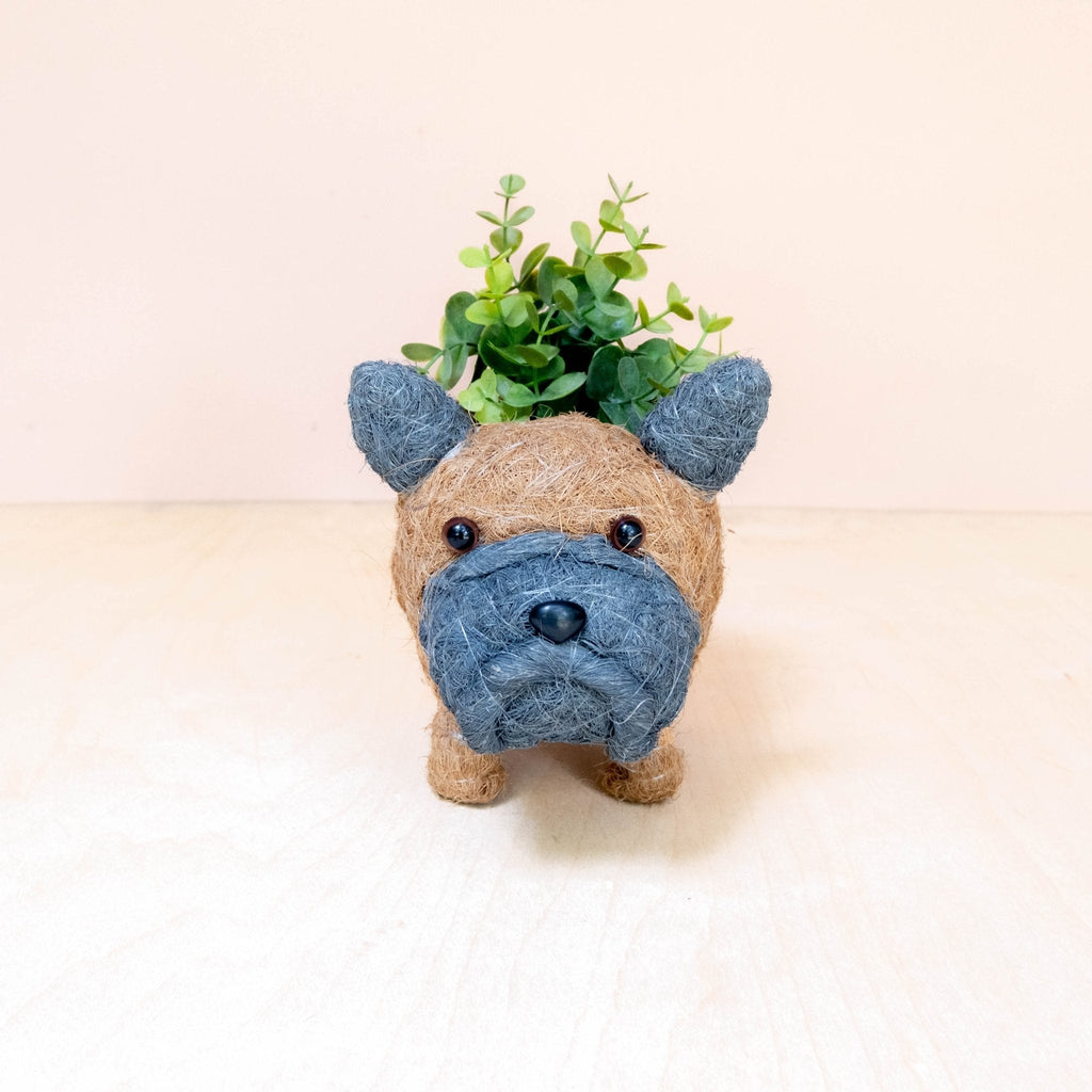 Baby French Bulldog Planter