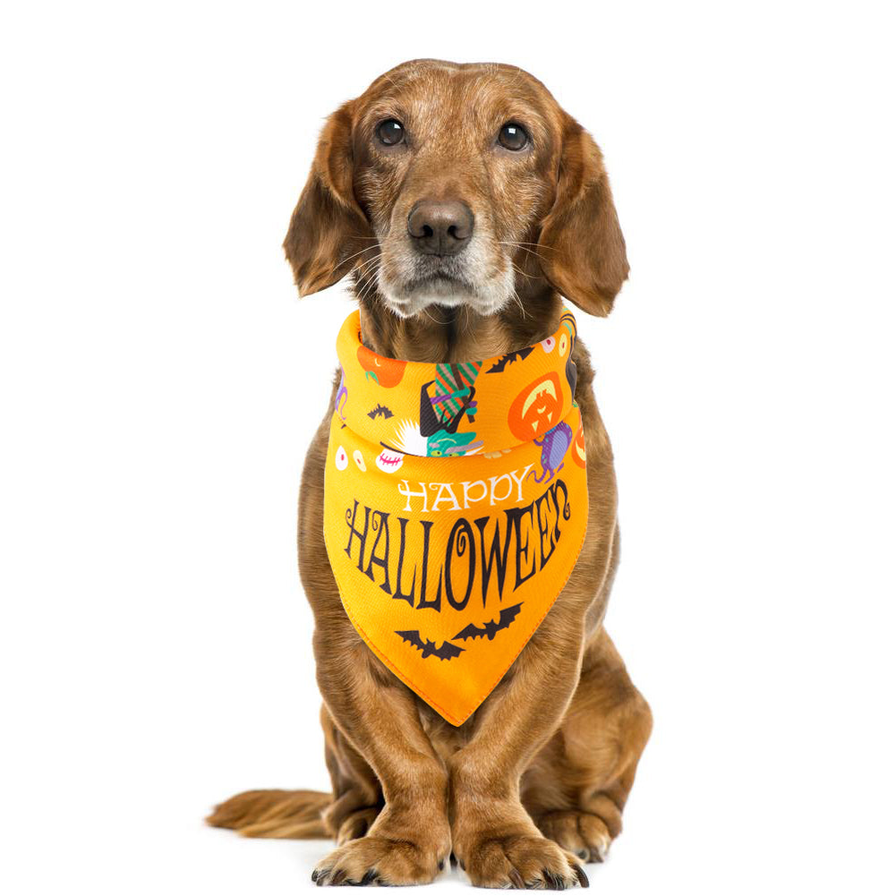 Halloween pet bandana